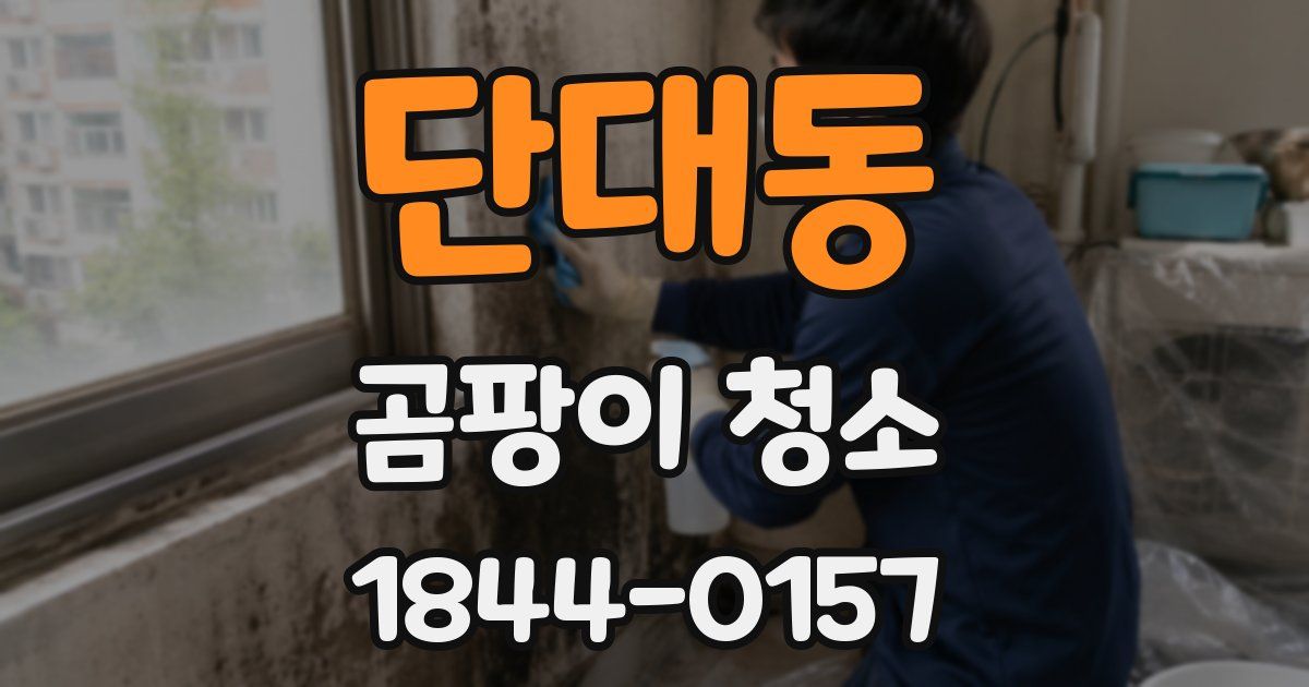 단대동 곰팡이 청소