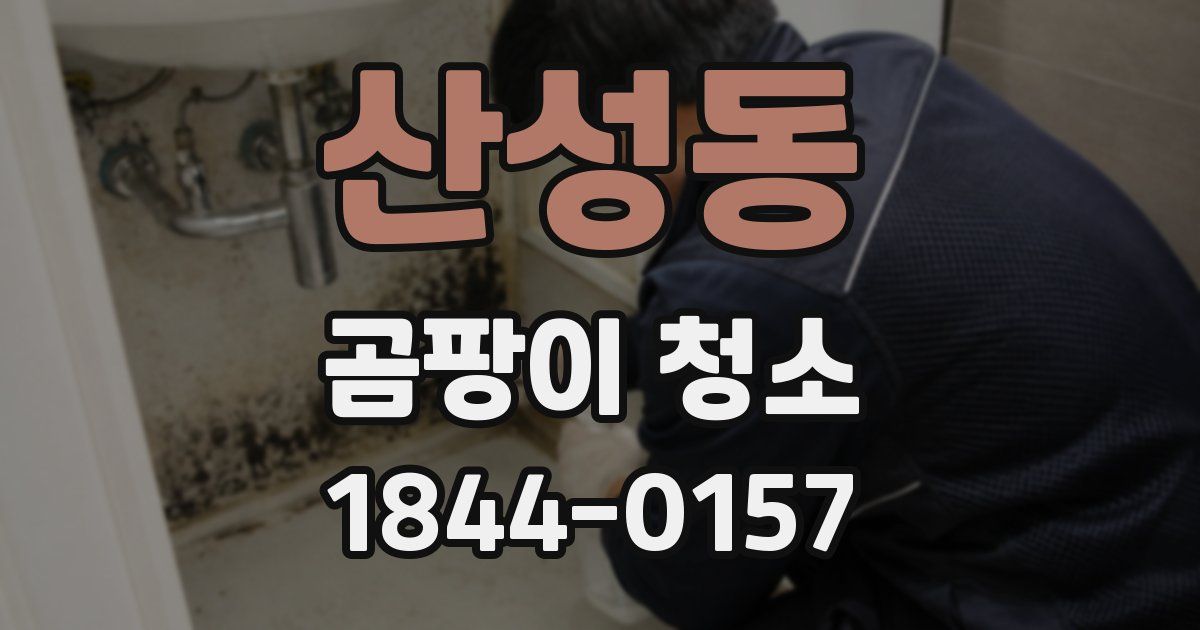 산성동 곰팡이 청소