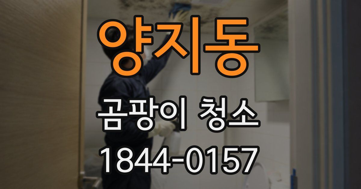 양지동 곰팡이 청소