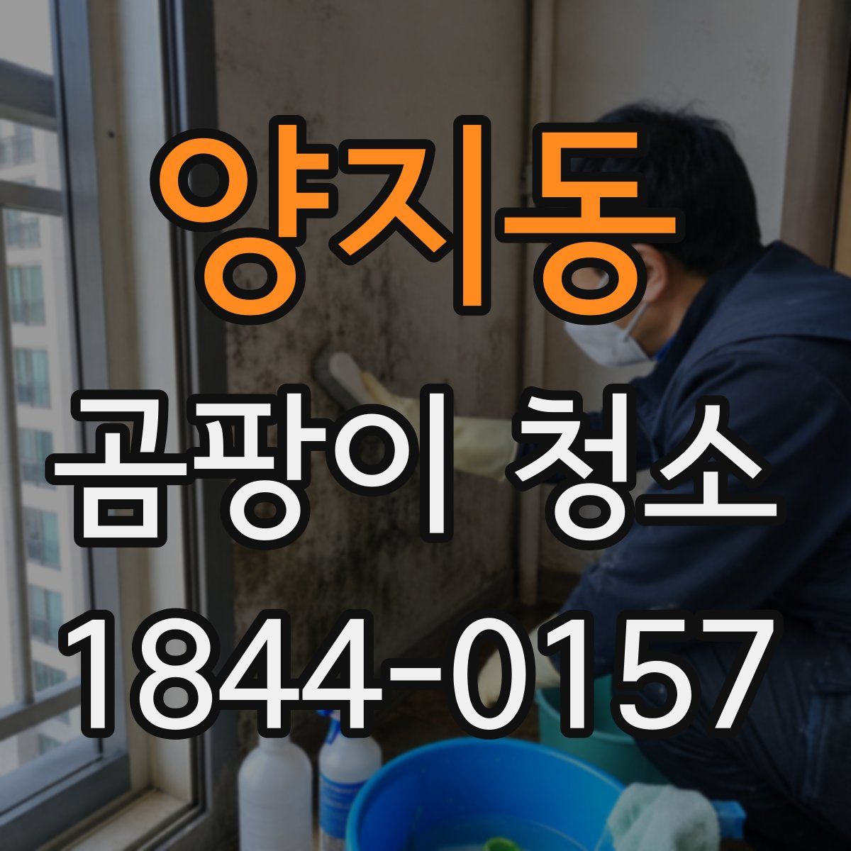 양지동 곰팡이 청소