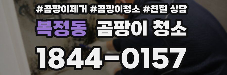 복정동 곰팡이 청소