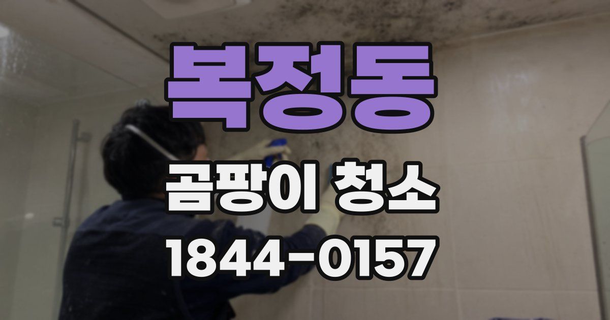 복정동 곰팡이 청소