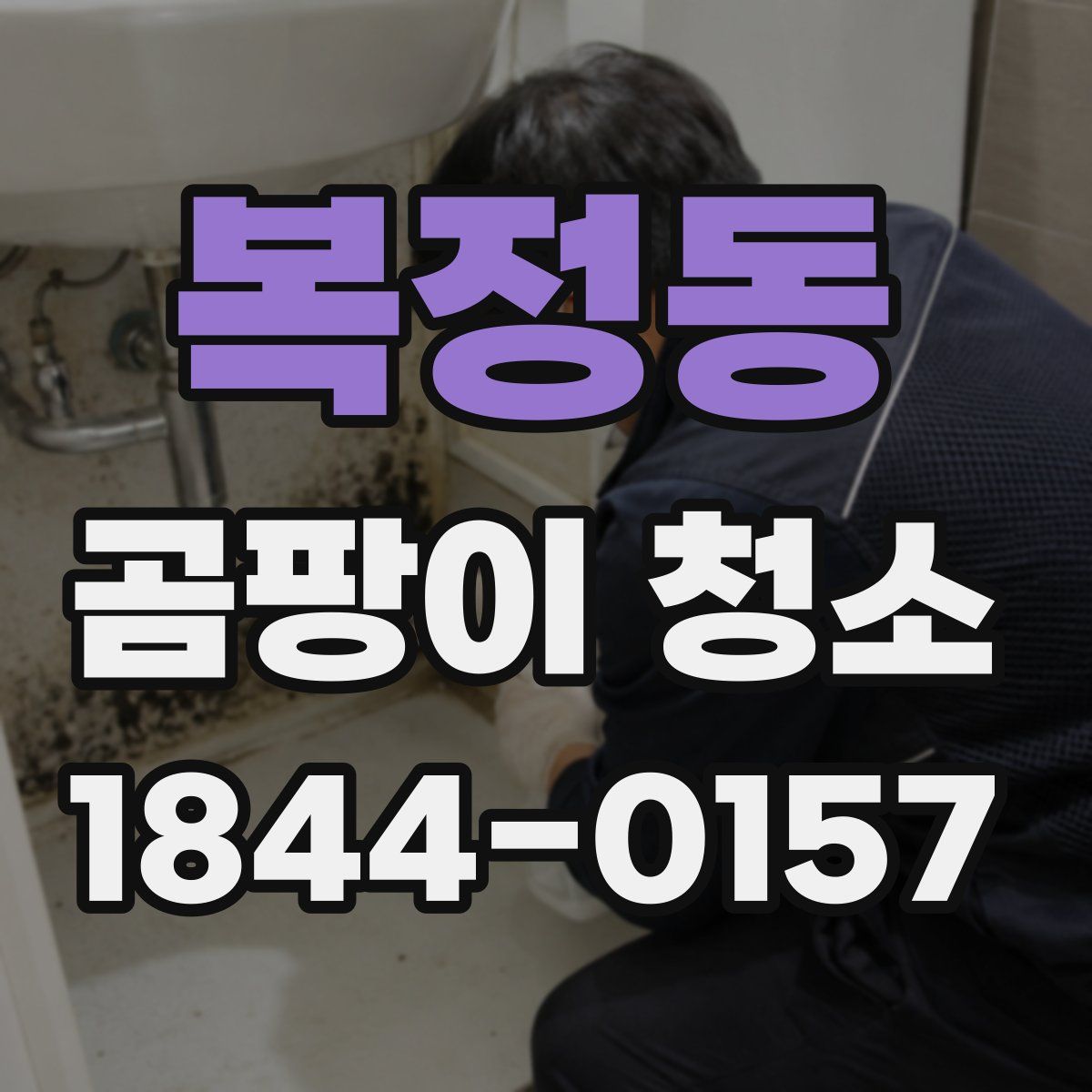 복정동 곰팡이 청소