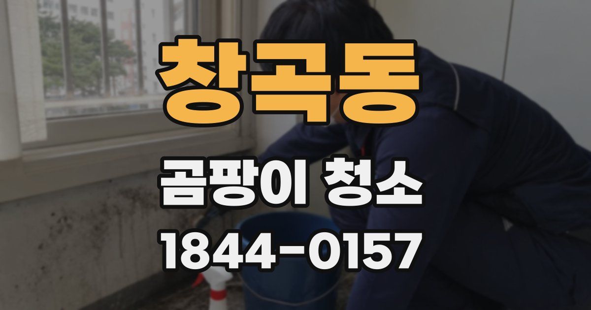 창곡동 곰팡이 청소