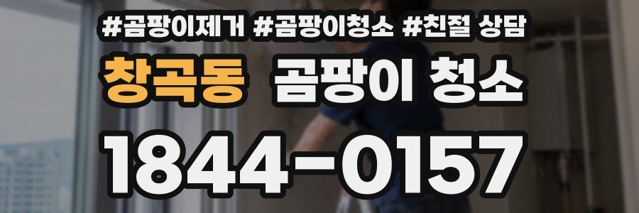 창곡동 곰팡이 청소