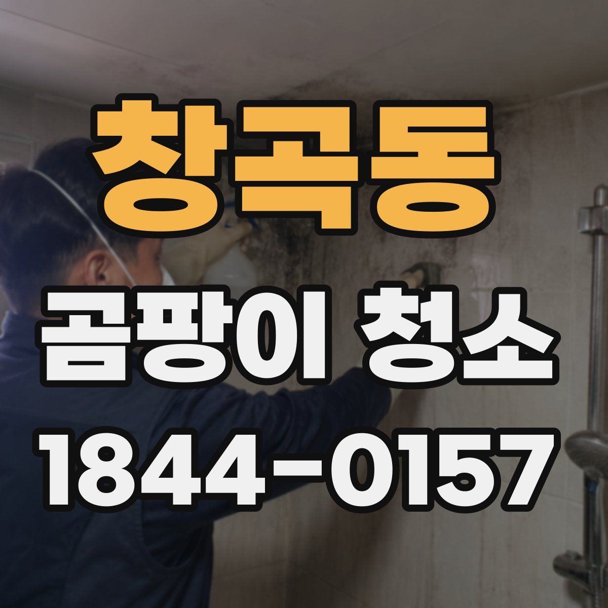 창곡동 곰팡이 청소