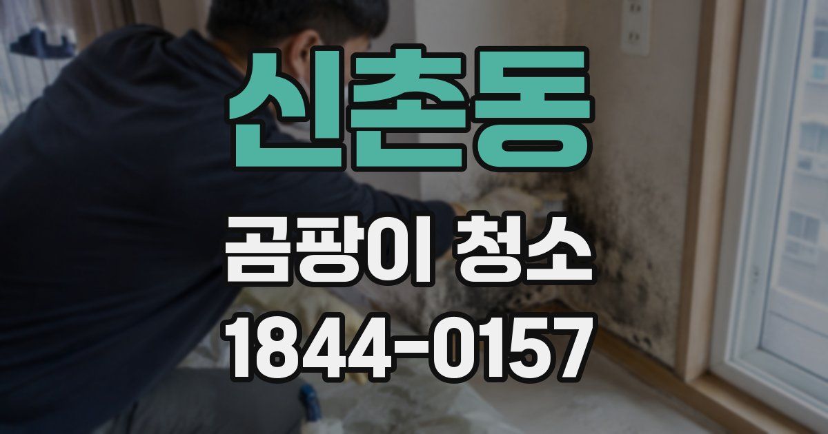 신촌동 곰팡이 청소