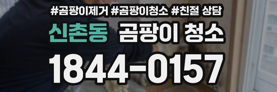 신촌동 곰팡이 청소