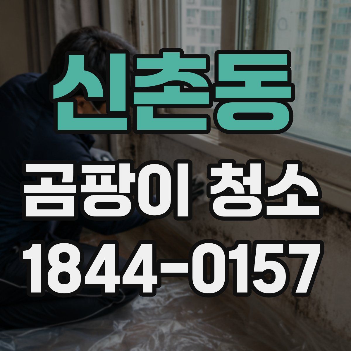 신촌동 곰팡이 청소