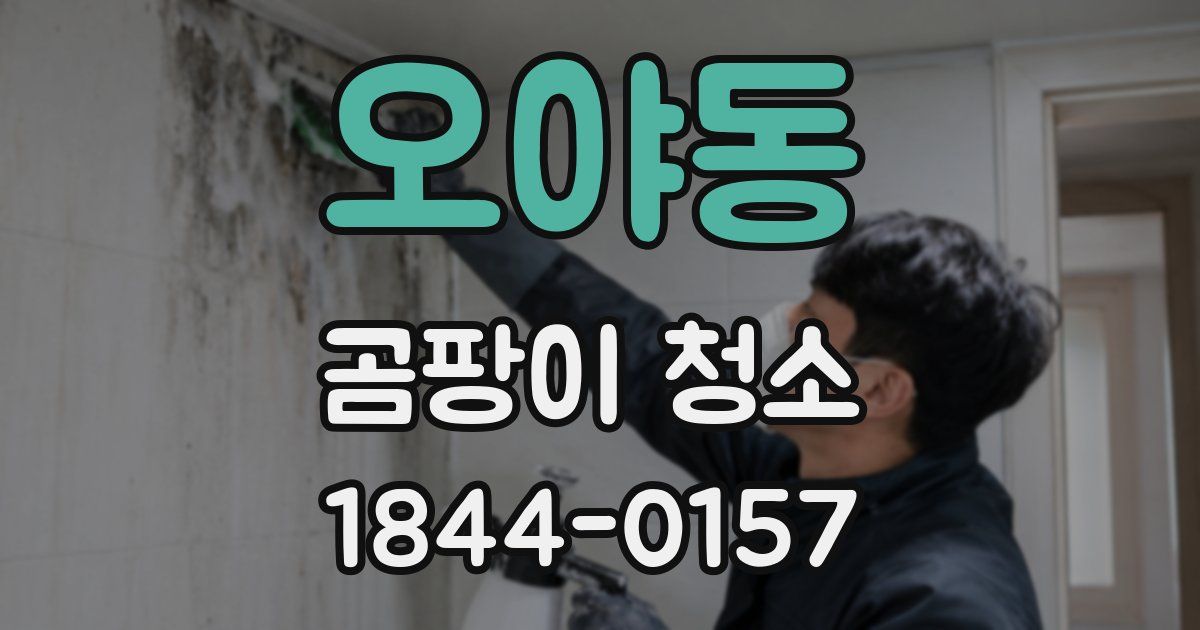 오야동 곰팡이 청소