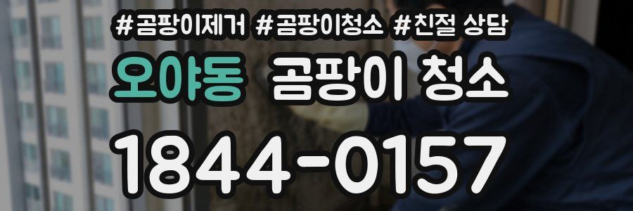 오야동 곰팡이 청소