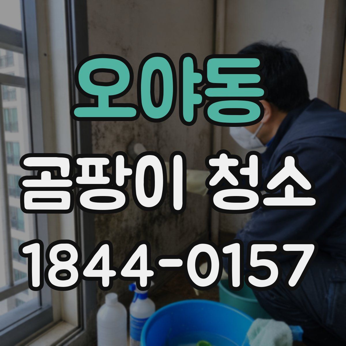 오야동 곰팡이 청소