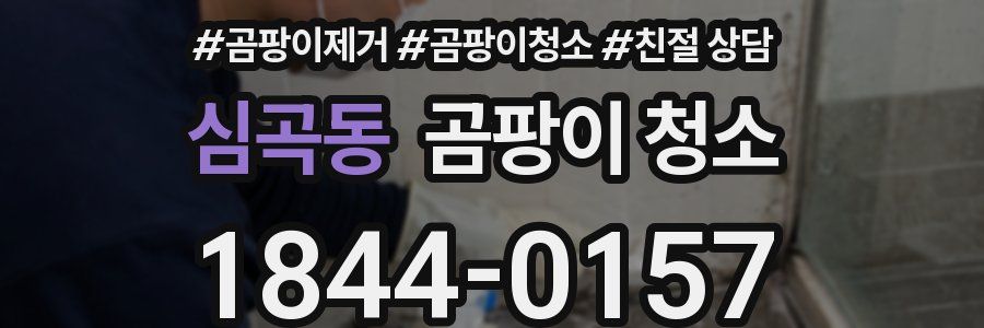 심곡동 곰팡이 청소