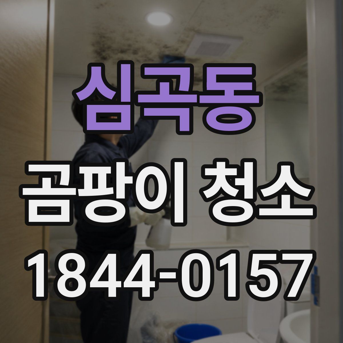 심곡동 곰팡이 청소