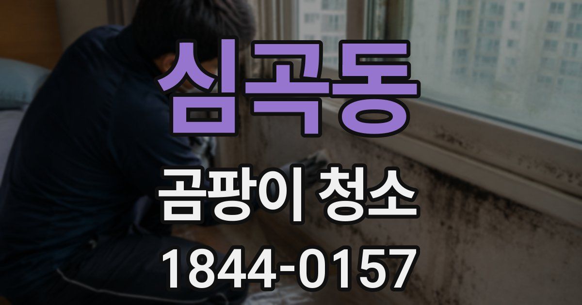 심곡동 곰팡이 청소