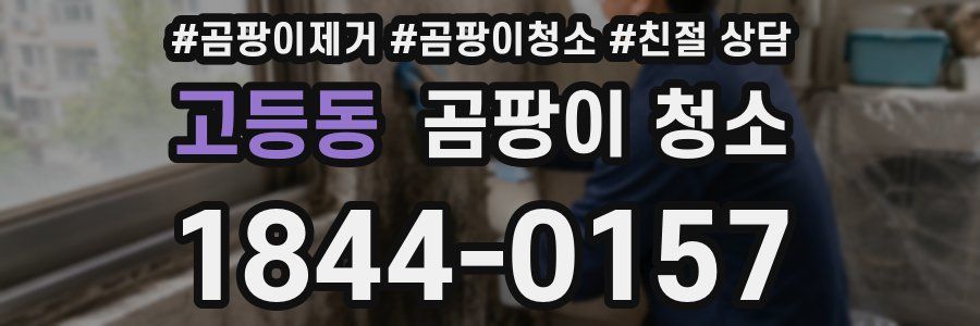 고등동 곰팡이 청소