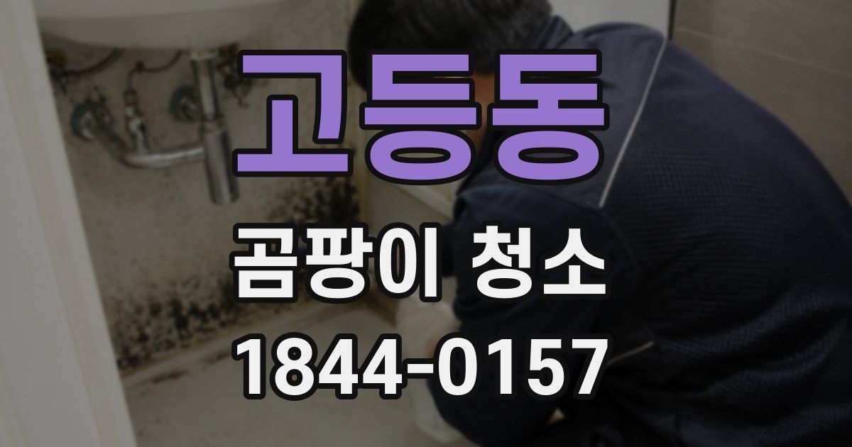 고등동 곰팡이 청소