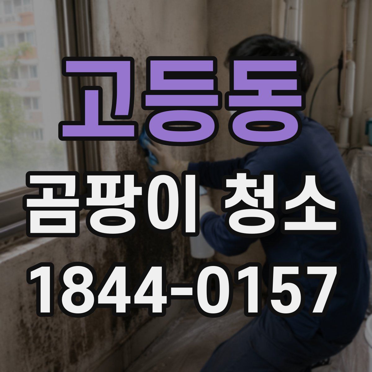 고등동 곰팡이 청소