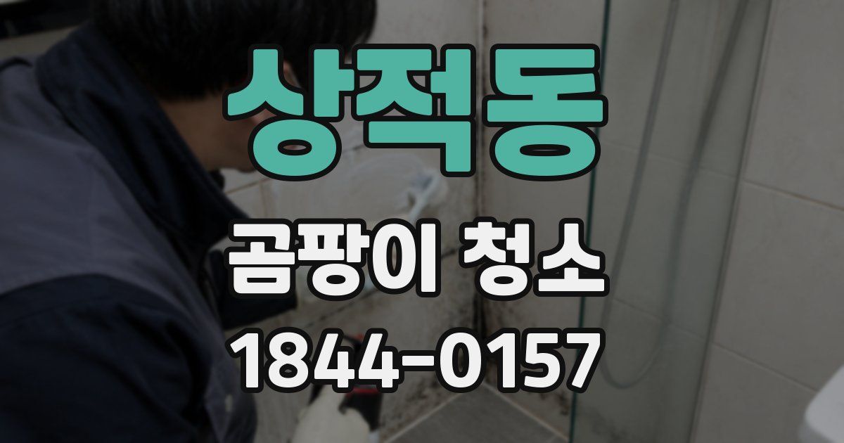 상적동 곰팡이 청소