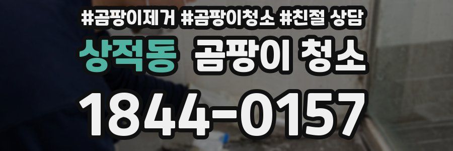 상적동 곰팡이 청소