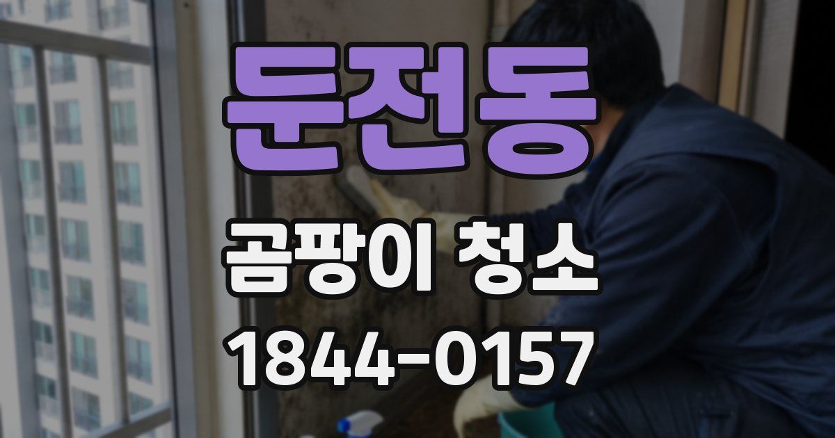 둔전동 곰팡이 청소