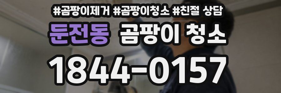 둔전동 곰팡이 청소