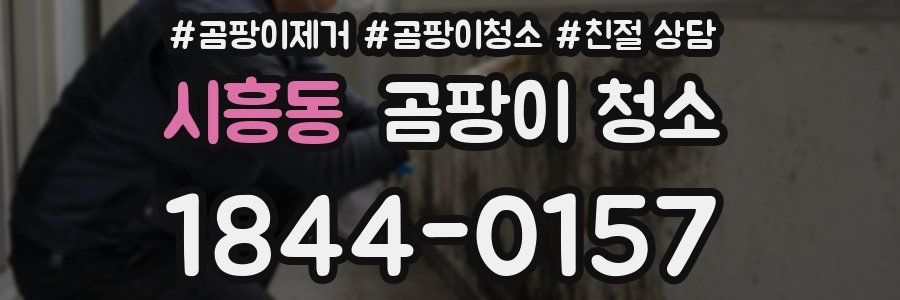 시흥동 곰팡이 청소