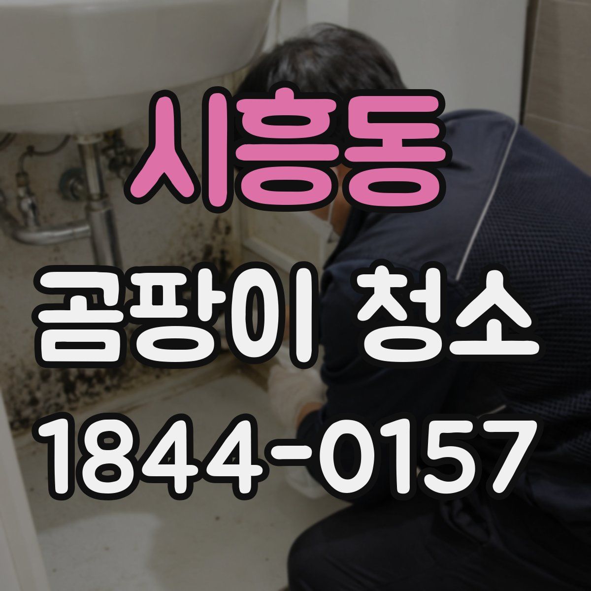 시흥동 곰팡이 청소