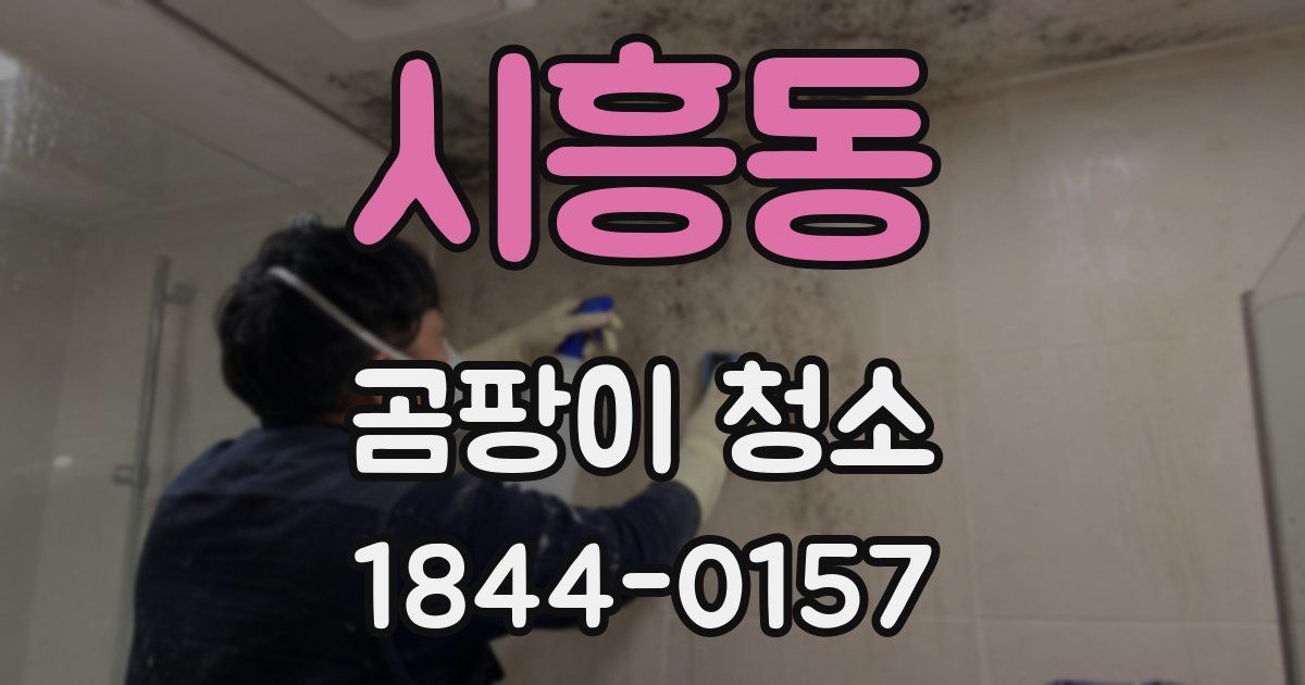 시흥동 곰팡이 청소
