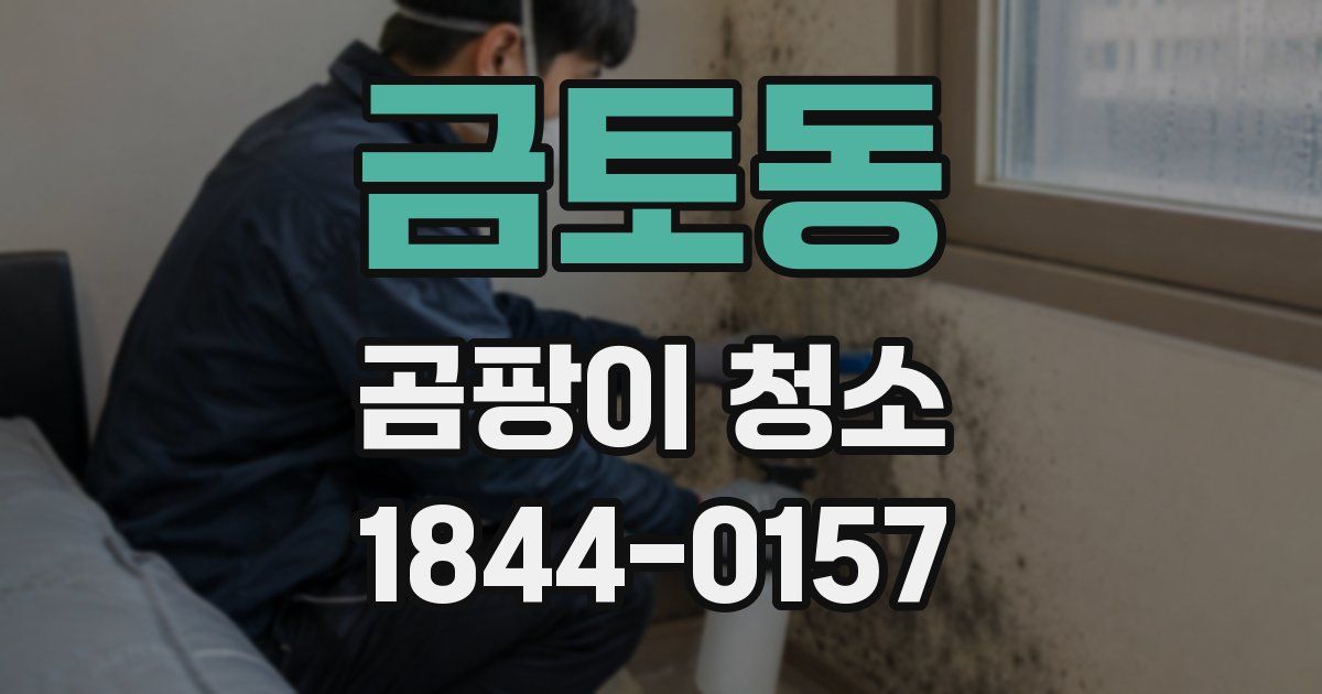 금토동 곰팡이 청소