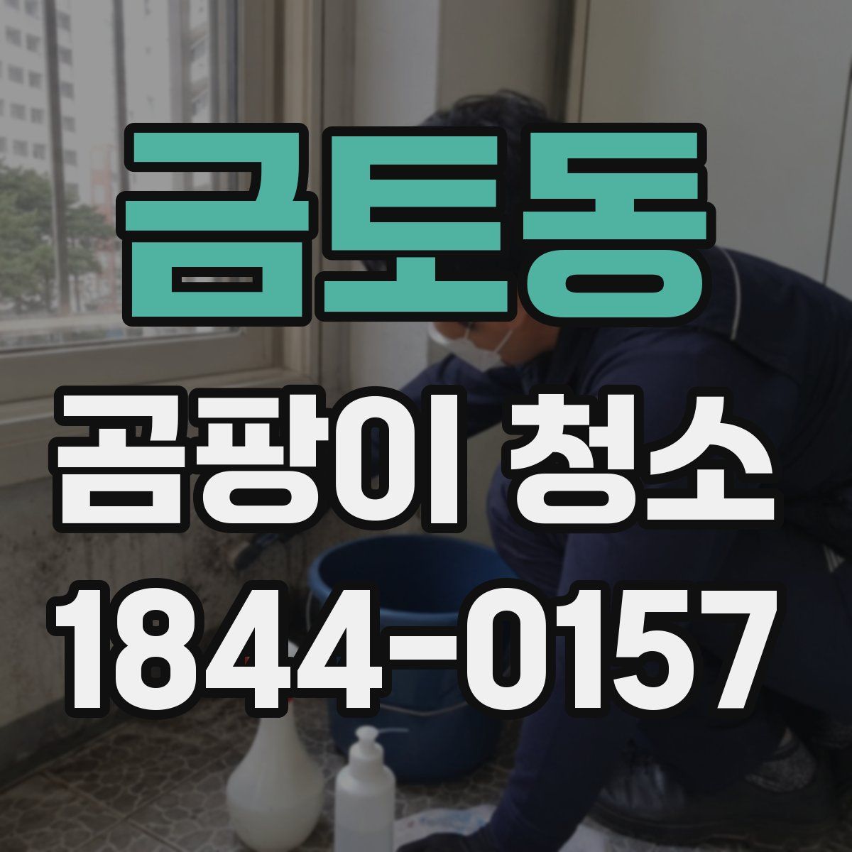 금토동 곰팡이 청소