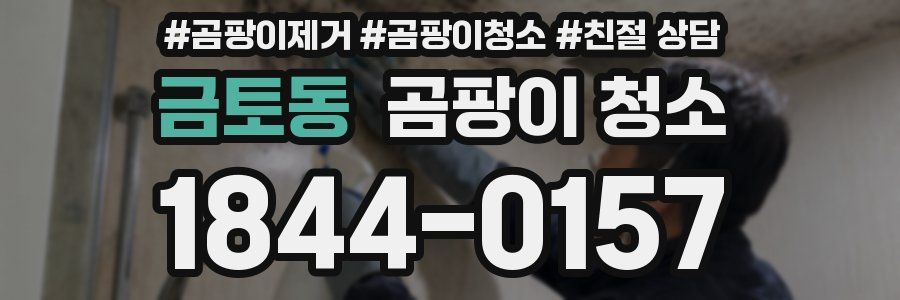 금토동 곰팡이 청소