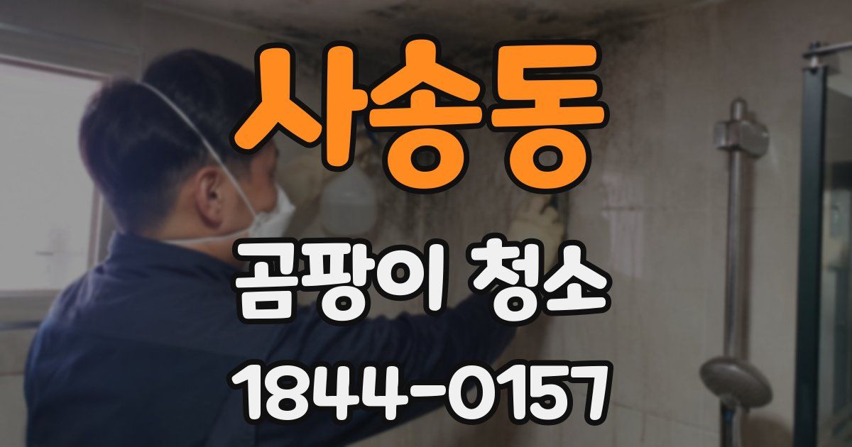 사송동 곰팡이 청소