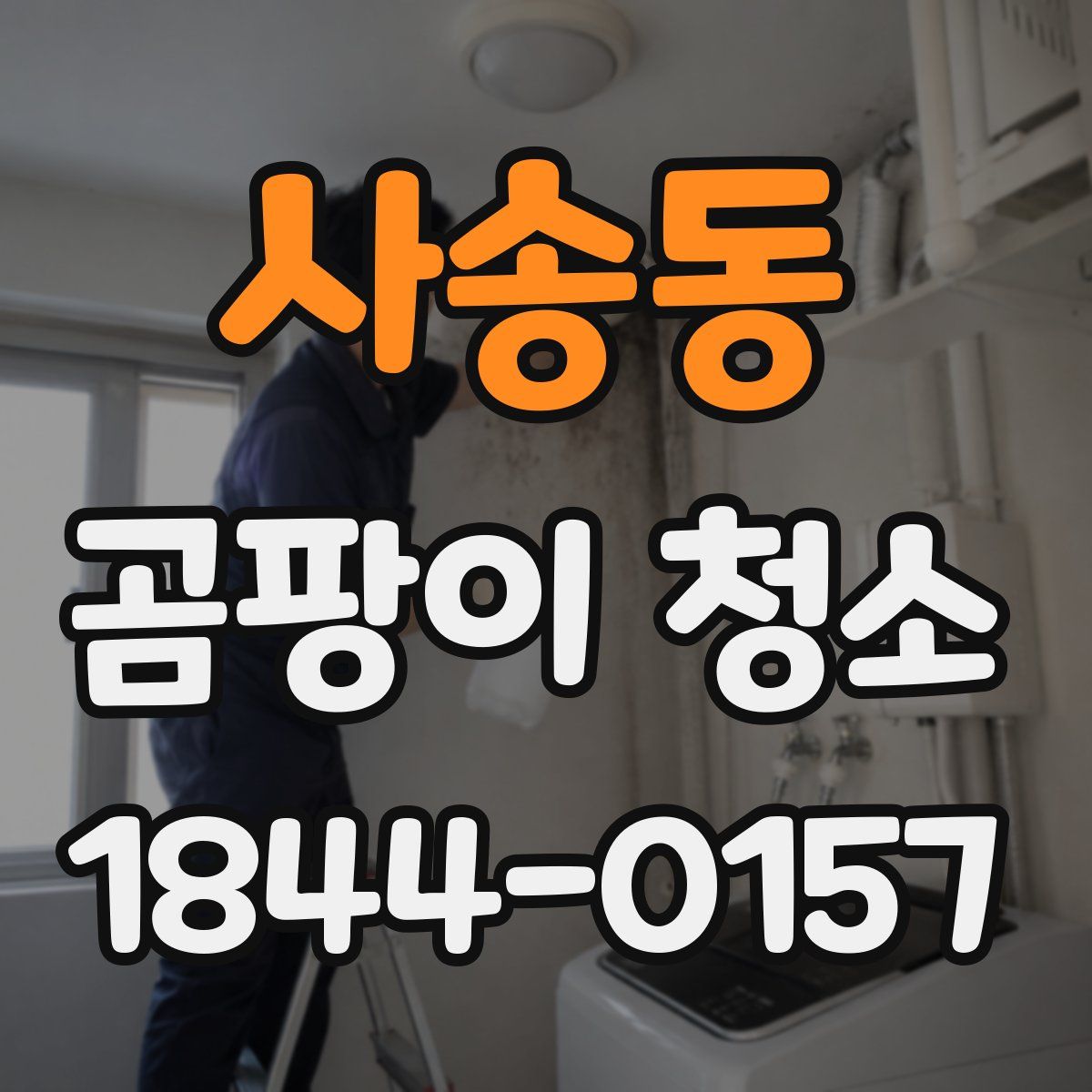 사송동 곰팡이 청소
