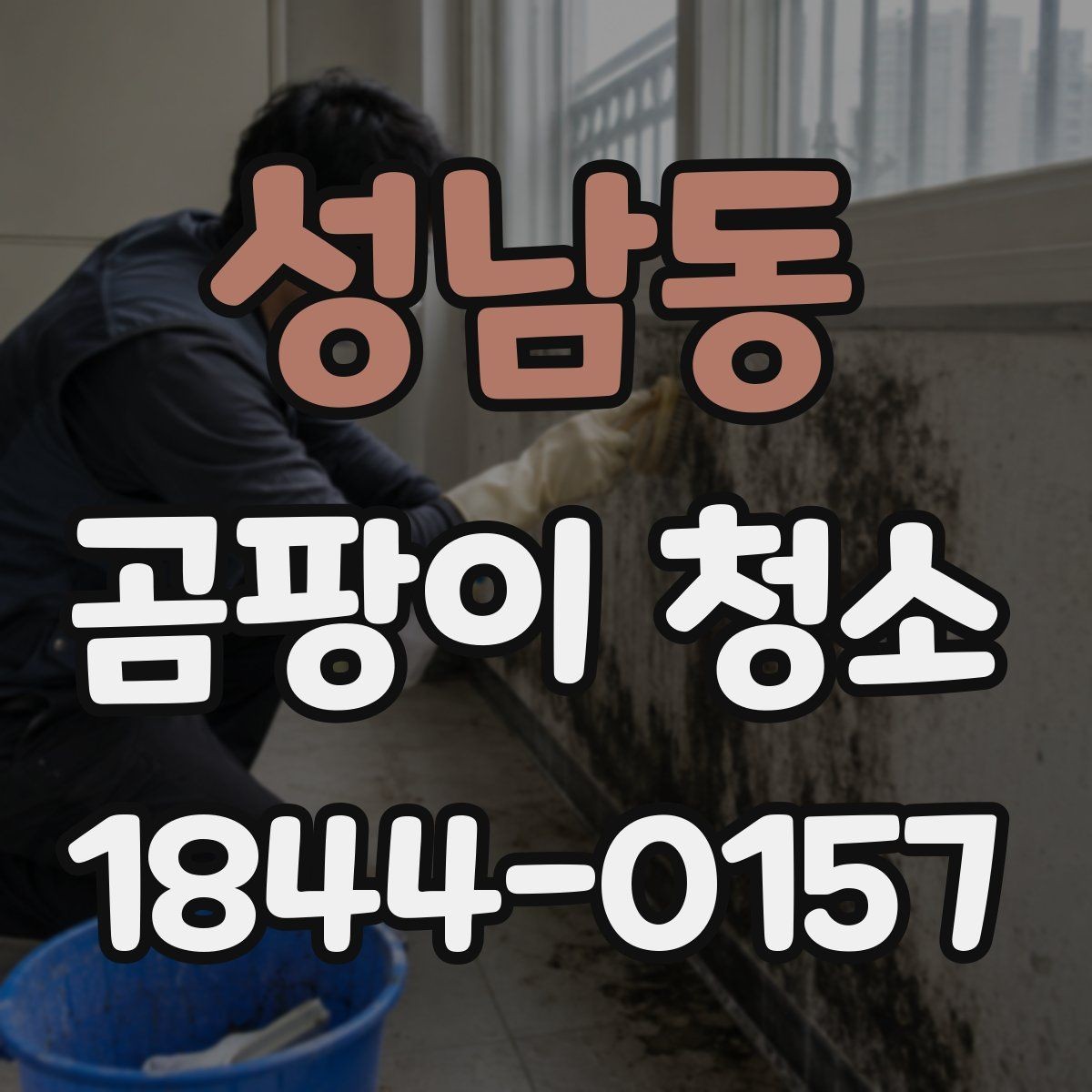 성남동 곰팡이 청소 업체 후기에서 확인할 내용