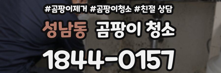 성남동 곰팡이 청소
