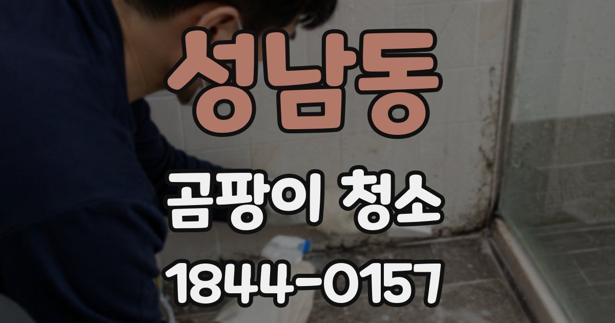성남동 곰팡이 청소