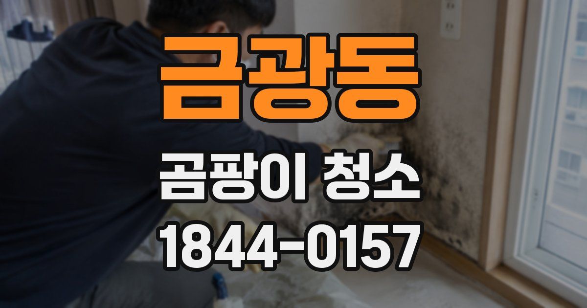 금광동 곰팡이 청소