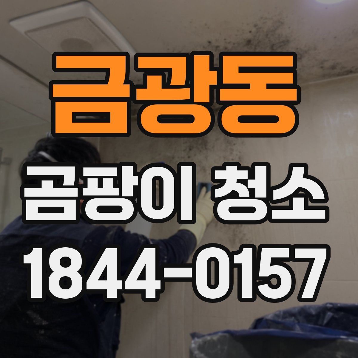 금광동 곰팡이 청소