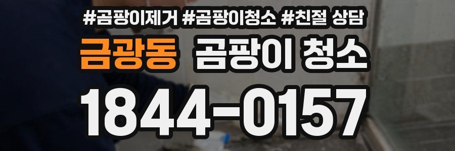 금광동 곰팡이 청소