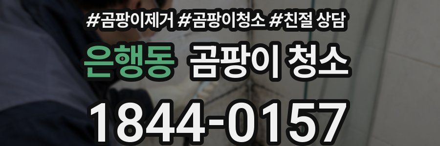 은행동 곰팡이 청소
