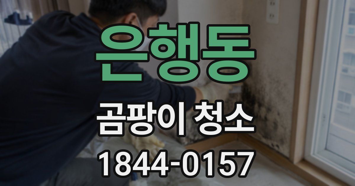 은행동 곰팡이 청소