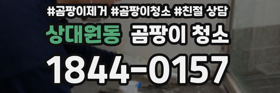 상대원동 곰팡이 청소