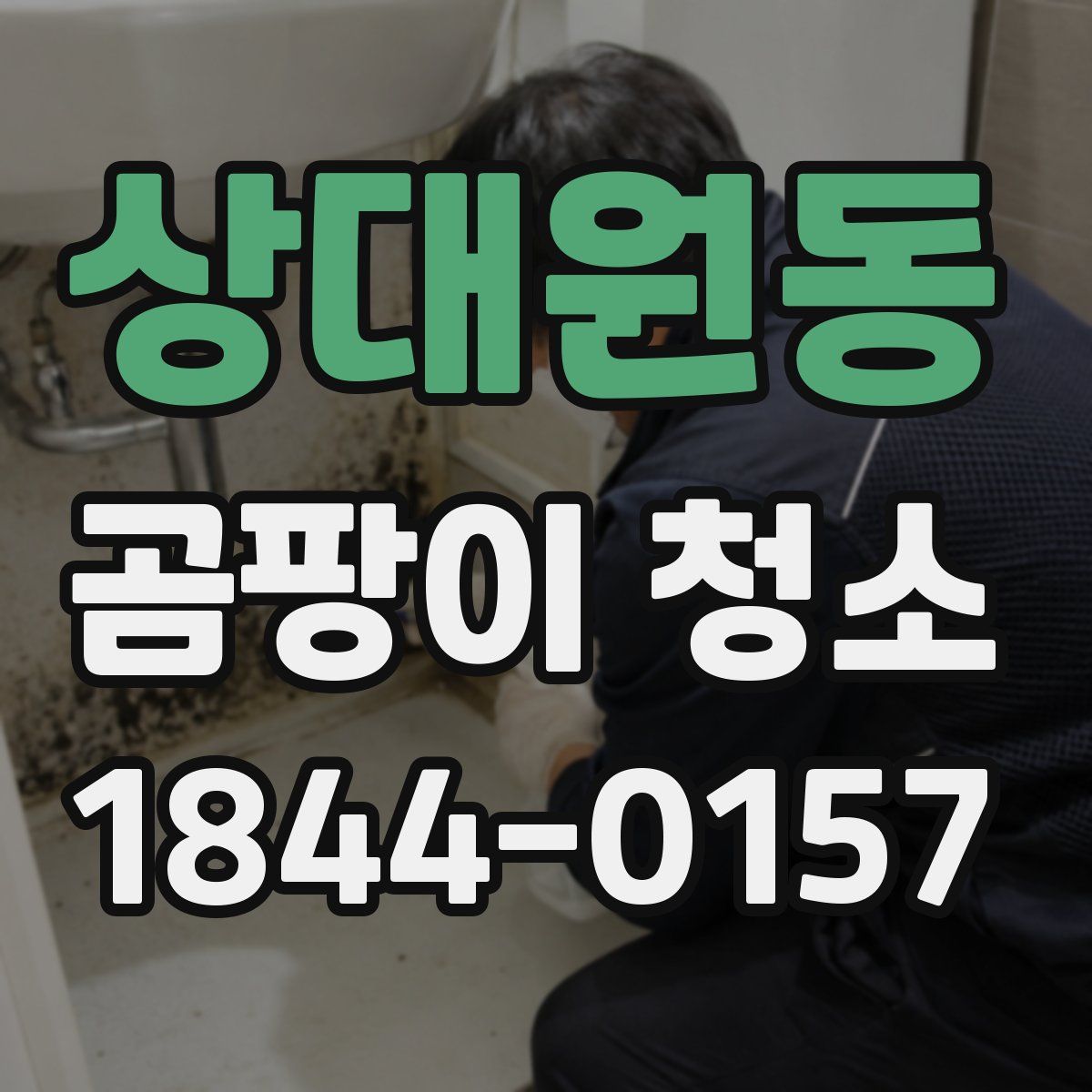 상대원동 곰팡이 청소