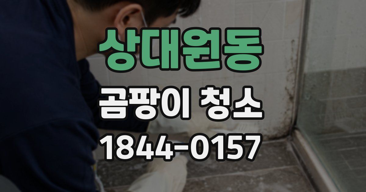 상대원동 곰팡이 청소