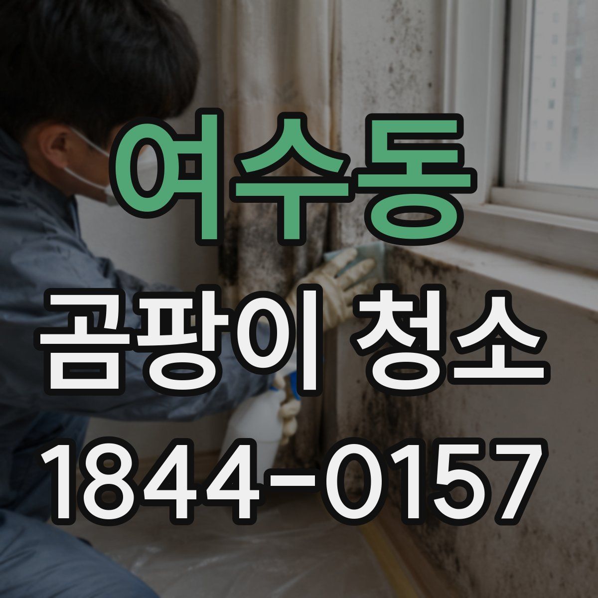 여수동 곰팡이 청소