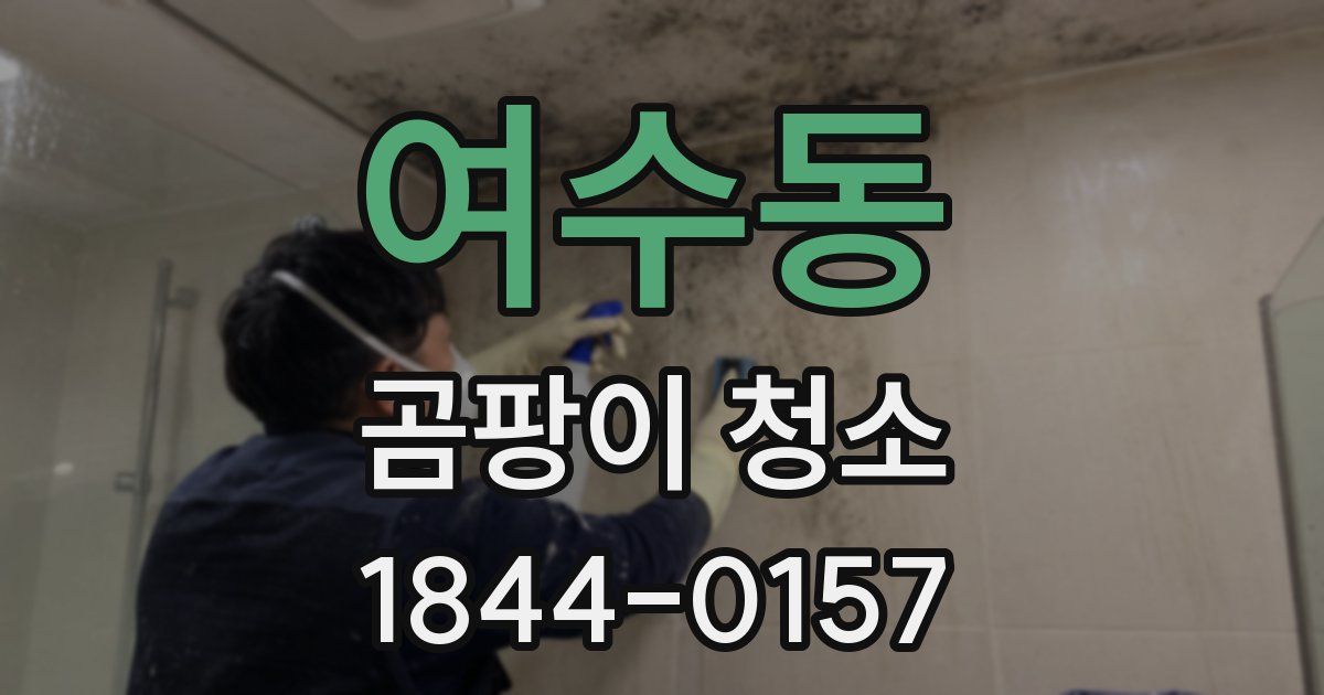 여수동 곰팡이 청소