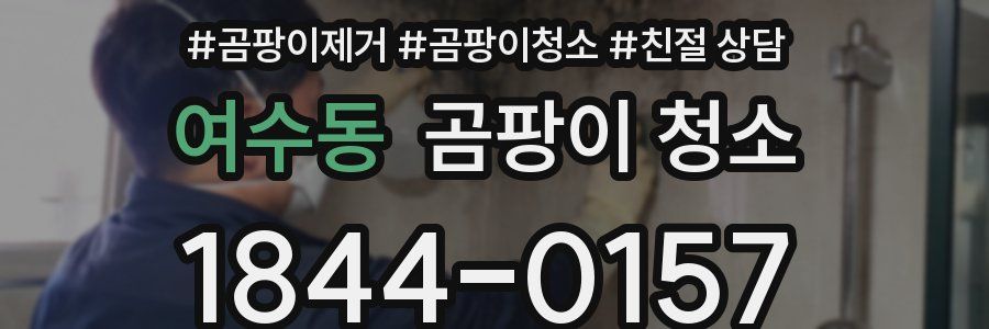 여수동 곰팡이 청소
