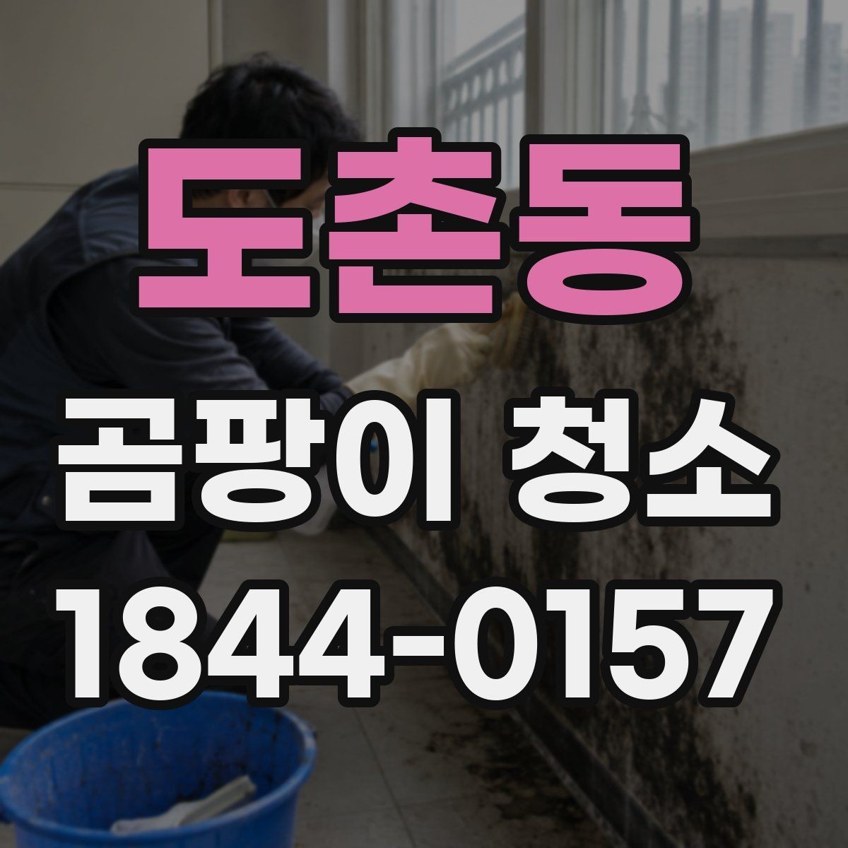 도촌동 곰팡이 청소 후 생활 공간을 쾌적하게 유지하는 법