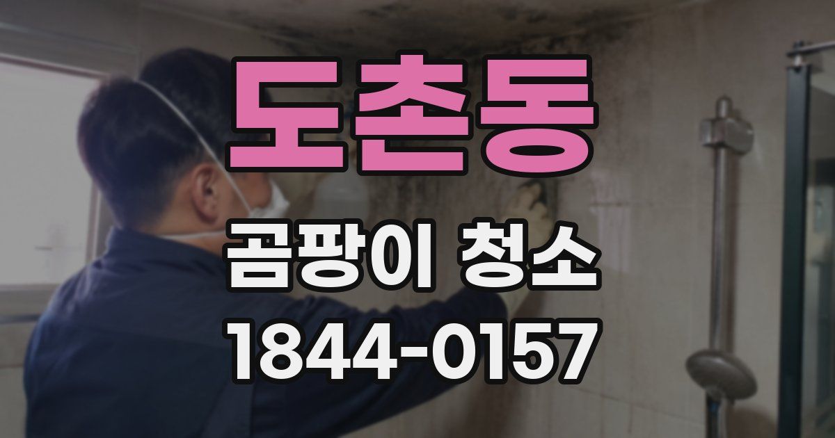 도촌동 곰팡이 청소